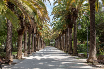 The main street of the villa in ragusa ibla