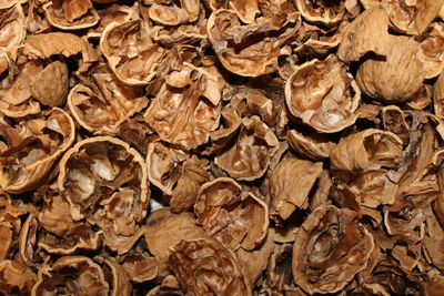 Full frame shot of walnut shells