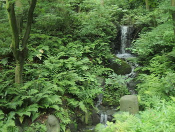 River flowing through rocks