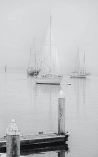 Sailboats sailing in sea against sky