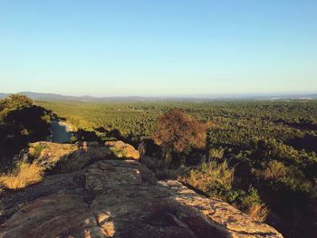 Scenic view of landscape against clear sky