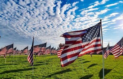 Flag on field against sky