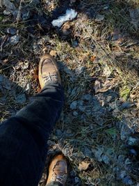 Low section of person standing on field during autumn