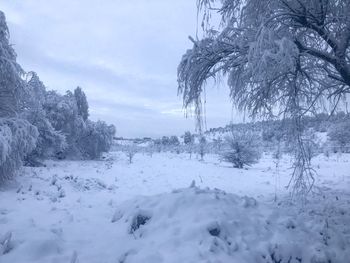 Snow covered field against sky