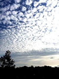 Silhouette of trees against cloudy sky