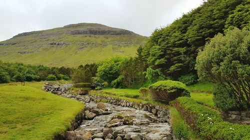 Stream along countryside landscape