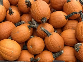 High angle view of pumpkins for sale at market