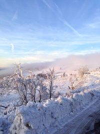 Snow covered landscape