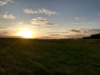 Scenic view of field against sky during sunset