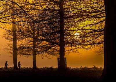 Silhouette trees on landscape against orange sky