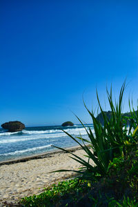 Scenic view of sea against clear blue sky