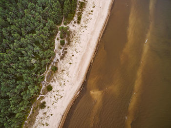 Scenic view of beach