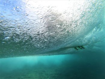 Man swimming in sea