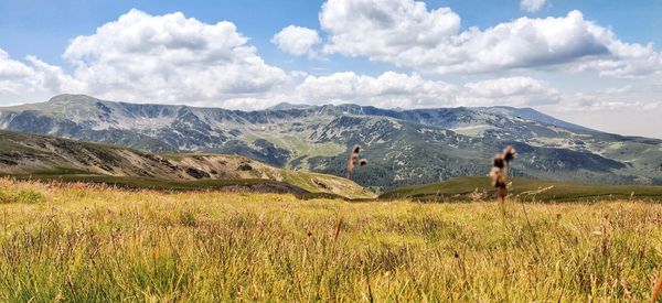 Scenic mountain view in romania