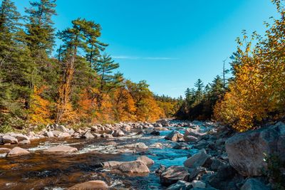 Scenic view of rocks in forest against sky