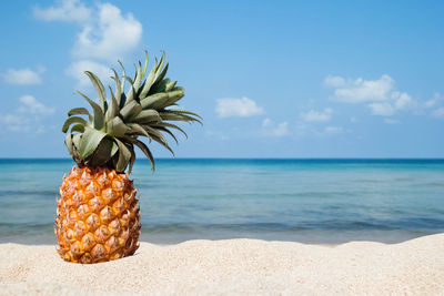 Pineapple on sand against sea at beach