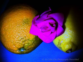 Close-up of purple fruit on table