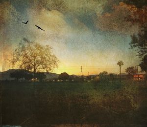 Scenic view of landscape against sky at sunset