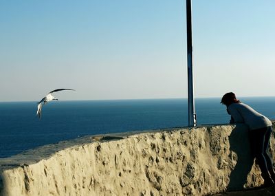 Seagull flying by woman looking at sea from observation point