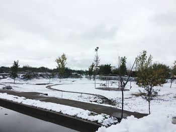 Snow covered trees on field against sky