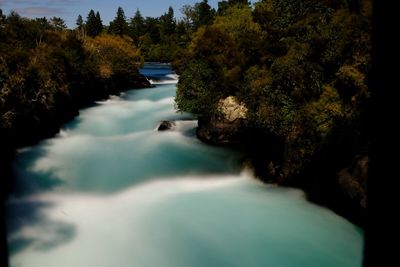 River flowing amidst trees in forest