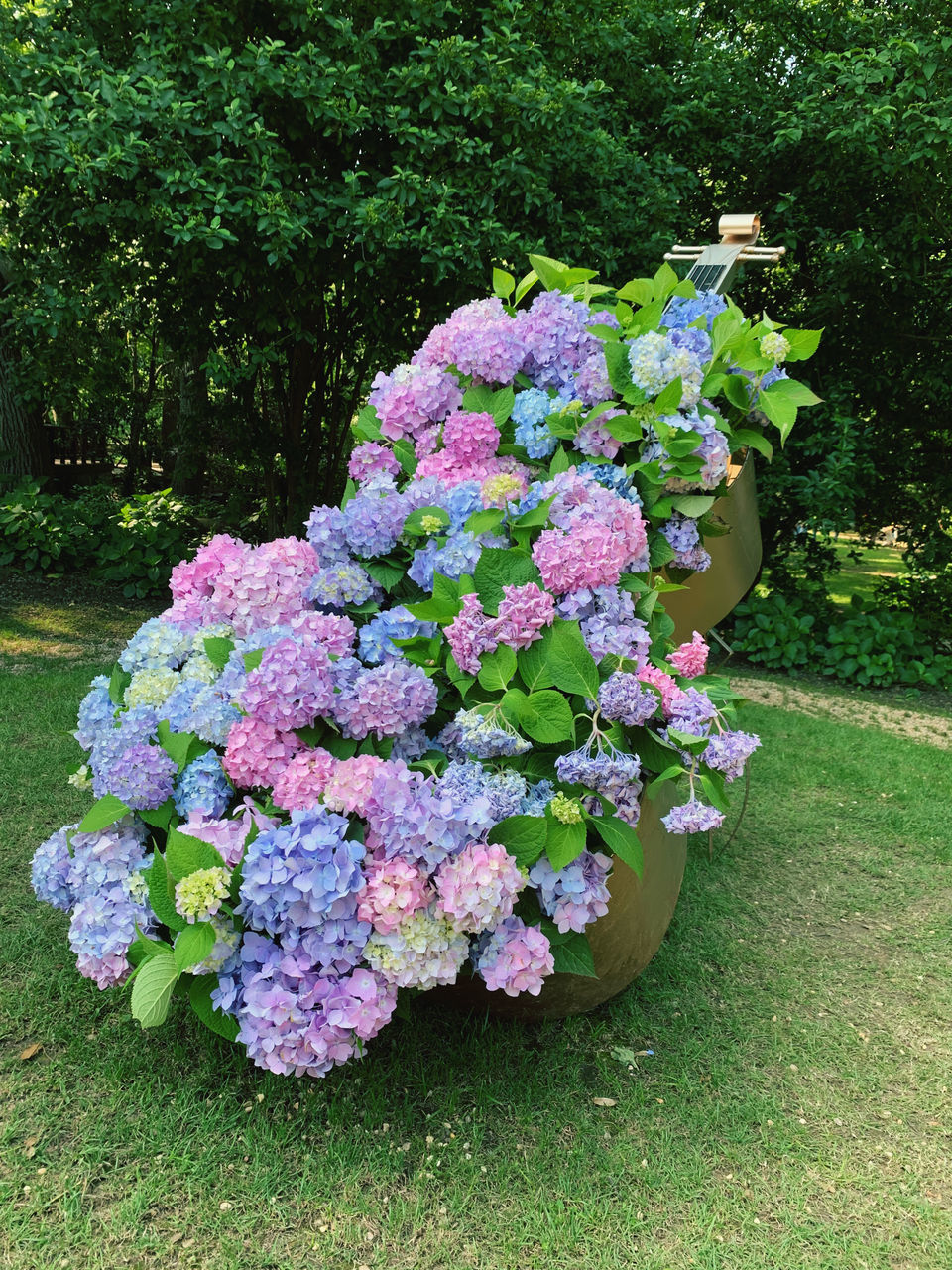 PINK FLOWER POT ON PLANT IN PARK