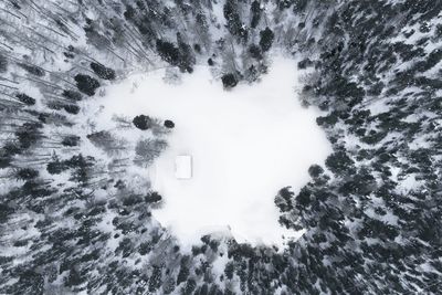 Aerial view of trees on snowy field