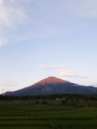 View of fields against mountain range