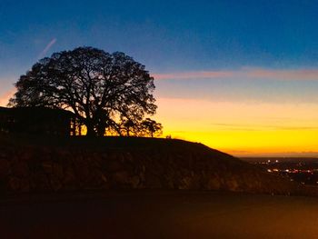 Silhouette of trees at sunset