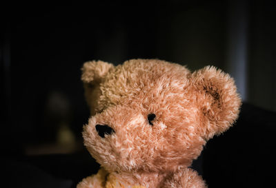 Close-up of teddy bear in darkroom
