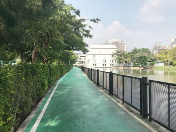 Walkway amidst trees against sky