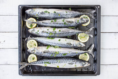 Directly above shot of fish in tray on table