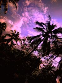 Low angle view of silhouette trees against sky at sunset