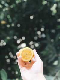 Close-up of hand holding fruit