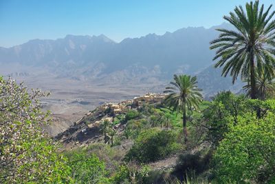 Scenic view of palm trees on mountains against sky