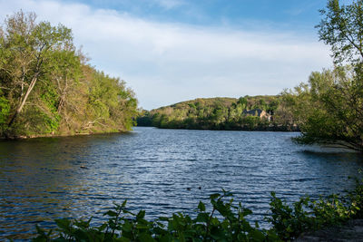 Scenic view of river amidst trees in forest against sky