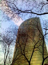 Low angle view of bare tree against sky