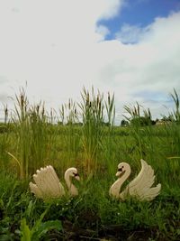 Trees on grassy field