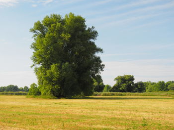 Scenic view of green landscape against sky