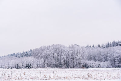 Trees on snow covered field against sky