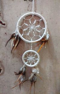 Close-up of feather hanging on wall