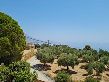 Scenic view of road by sea against clear blue sky