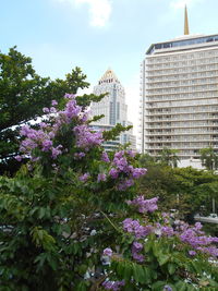 Low angle view of trees and buildings against sky
