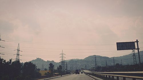 Road along trees