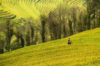 Man riding bicycle on field