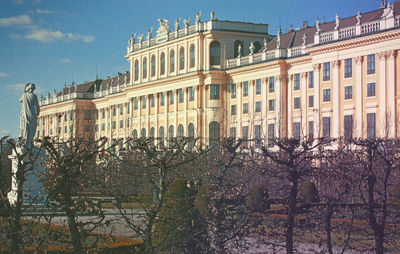 View of bare trees against building