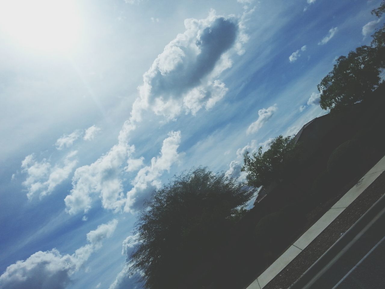 low angle view, tree, sky, sunlight, nature, cloud - sky, growth, beauty in nature, sunbeam, sun, tranquility, day, outdoors, silhouette, cloud, no people, blue, built structure, lens flare, scenics