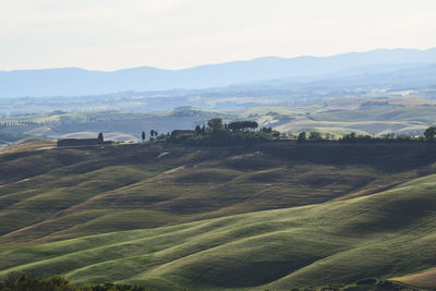 Scenic view of agricultural field against sky