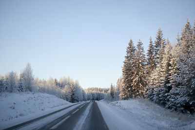 Snow covered road amidst trees against sky