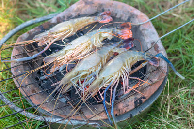 High angle view of fish on barbecue